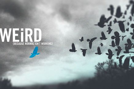 Banner 2