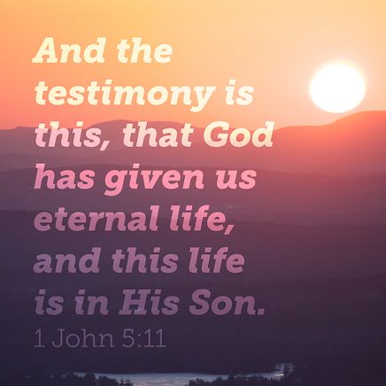 1 John 5:11