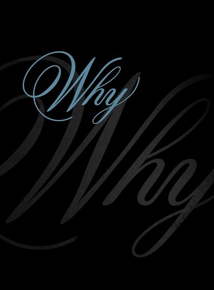 Banner 2