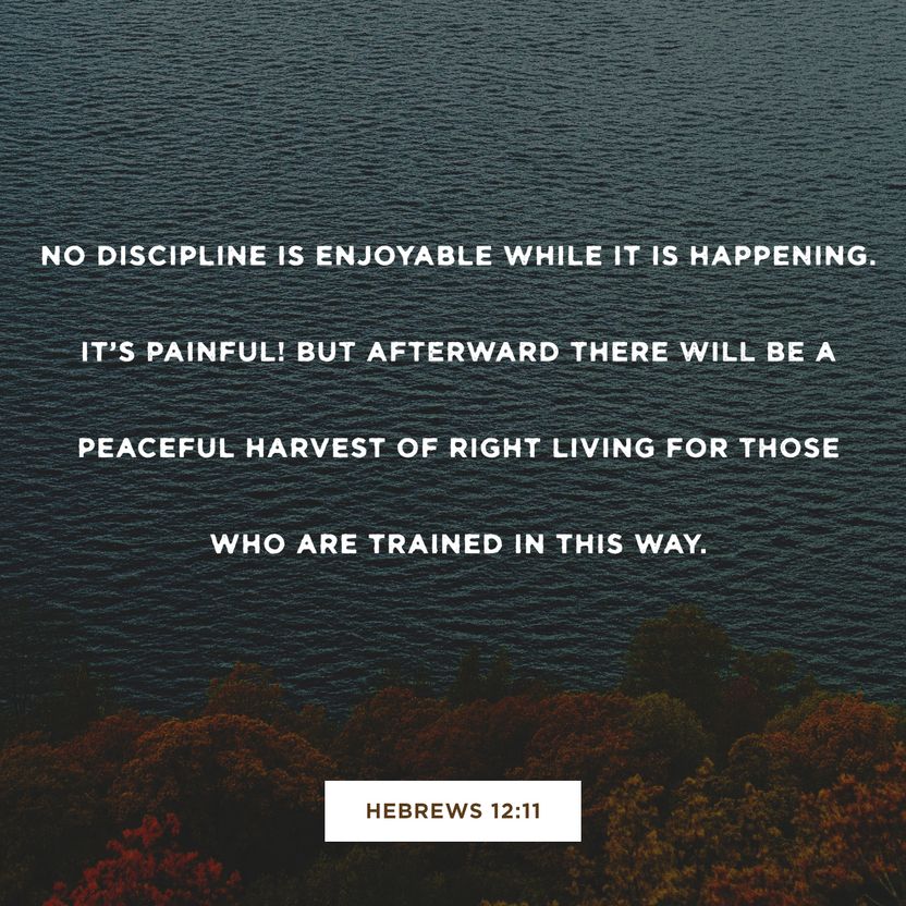 Hebrews 12:11