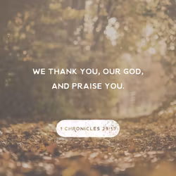 1 Chronicles 29:13