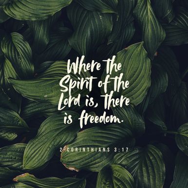 November 19