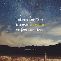 Psalm 25:15