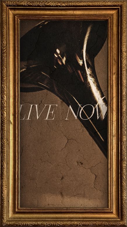 Instagram Story - Live Now 4