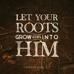 Colossians 2:7