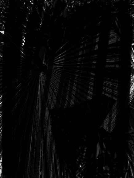 Dark Backgrounds