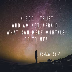 Psalm 56:4