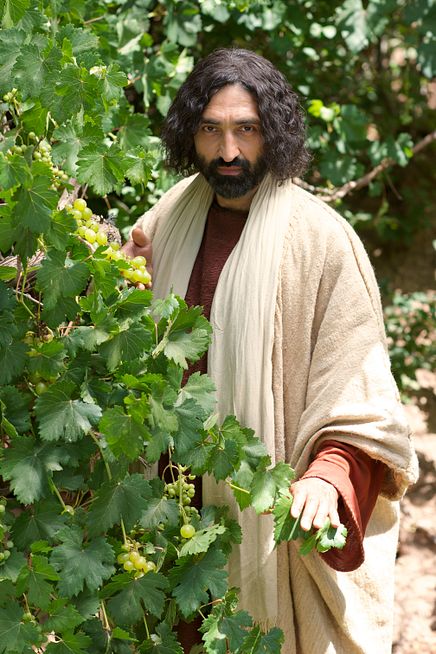 Image 08