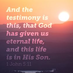 1 John 5:11
