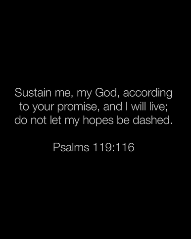 Image 05