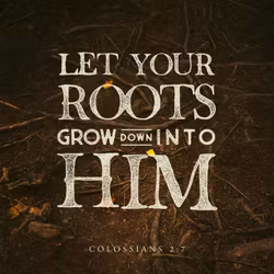 Colossians 2:7
