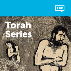 Torah Series