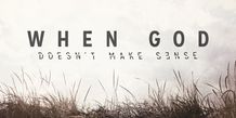 Banner 8x4