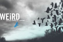 Banner 2