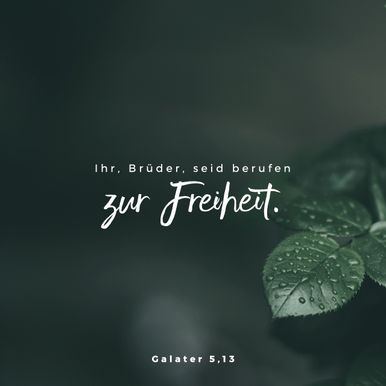 Galatians 5:13