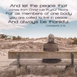 Colossians 3:15