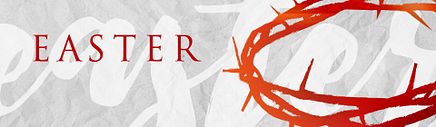 Church Online Platform - Standard Theme