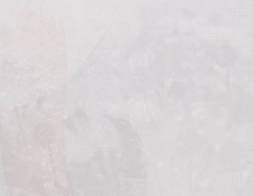 Background Images