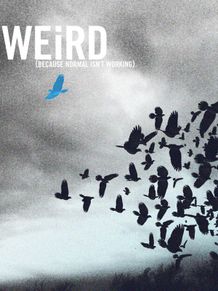 Banner 3