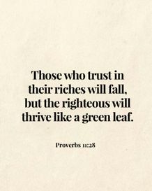 Image 05