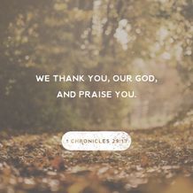 1 Chronicles 29:13