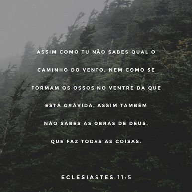 Ecclesiastes 11:5