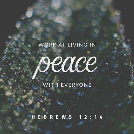Hebrews 12:14