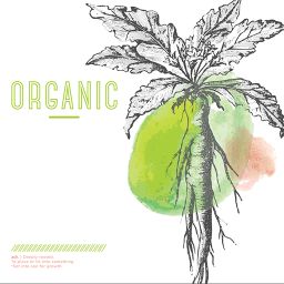 Organic - YTH