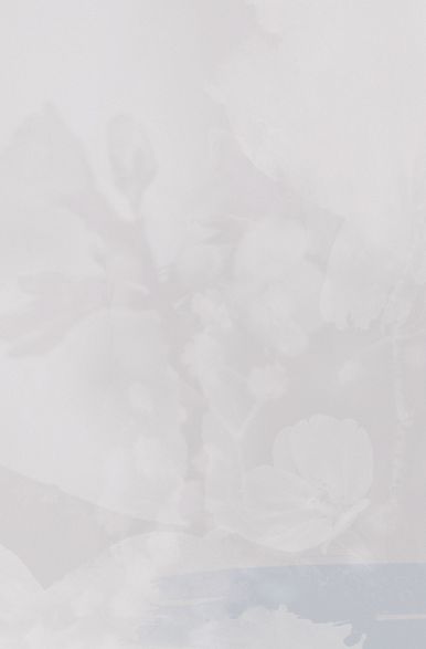 White Background - 1725x2625