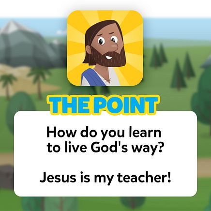 The Point