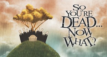Banner Graphic 4