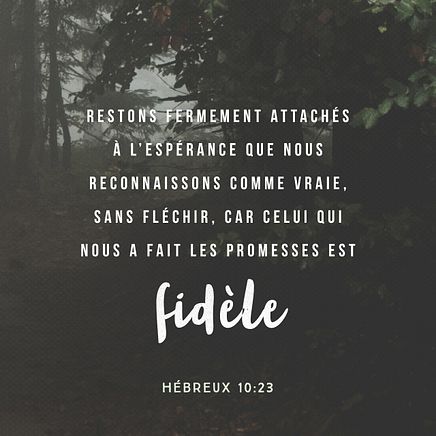 Hebrews 10:23