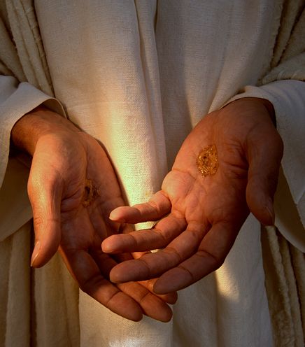 Image 15