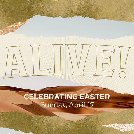 Alive! Instagram Square