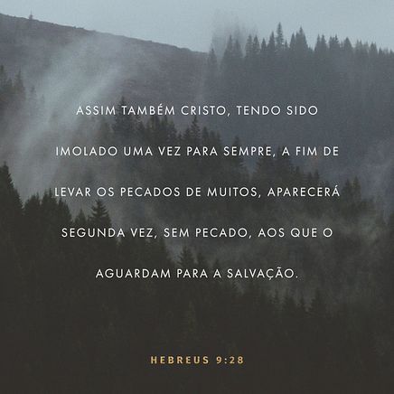 Hebrews 9:28