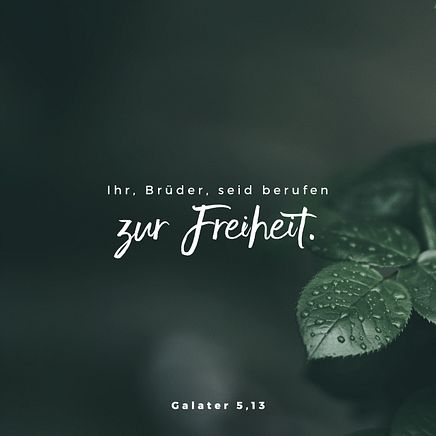 Galatians 5:13