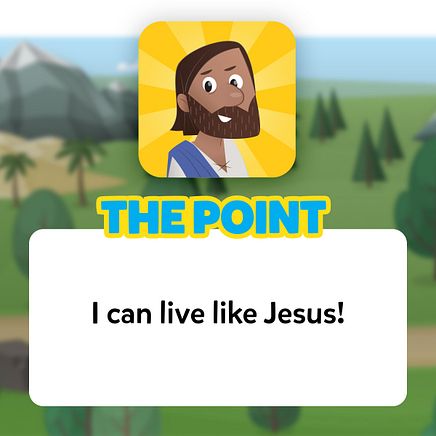 The Point