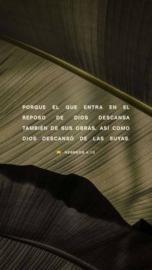 17 de enero - Vertical