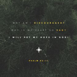 Psalm 42:11
