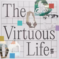 The Virtuous Life - Switch