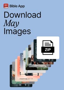 All May Images