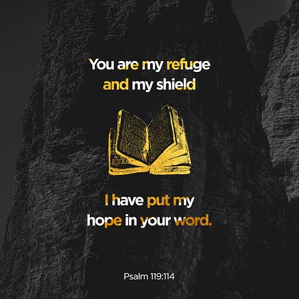 Psalm 119:114