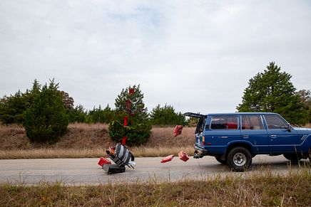 Car Spills Christmas Tree