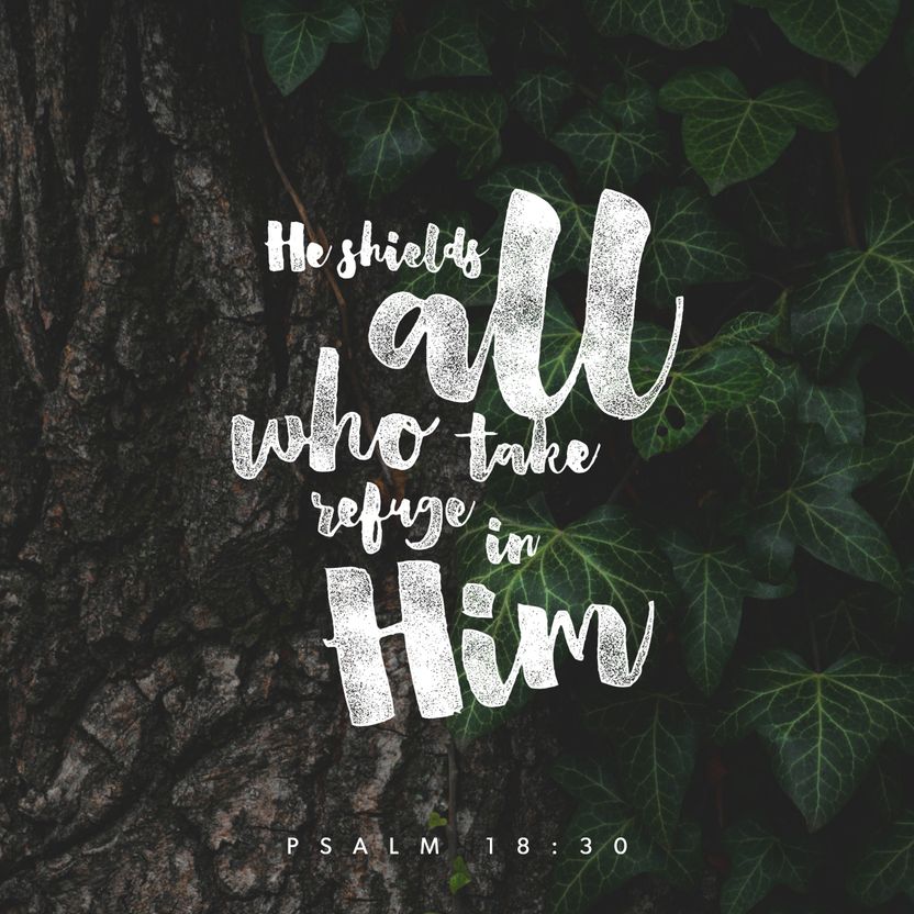 Psalm 18:30