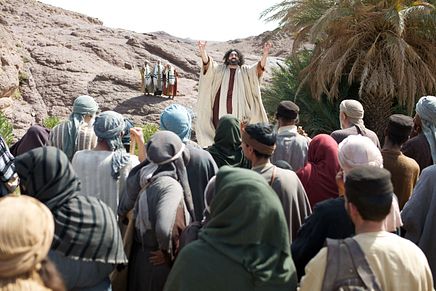 Image 06