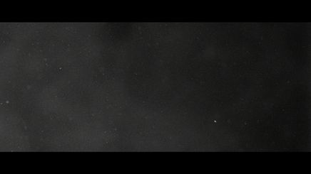 Still 16