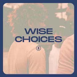 Wise Choices - Switch
