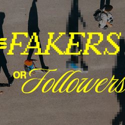 Fakers or Followers - Switch