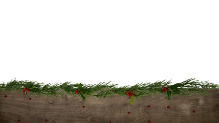 Photo 5 - Point Background