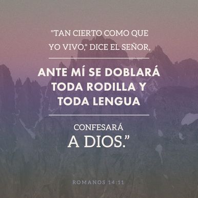 Romans 14:11